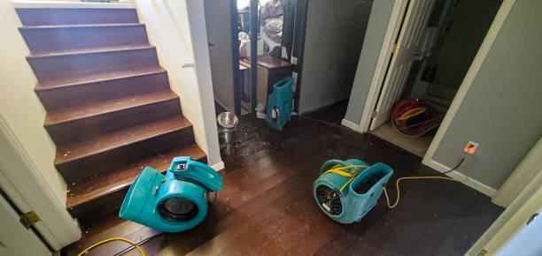 Best Sewage cleanup and water damage restoration  in La Luz, NM