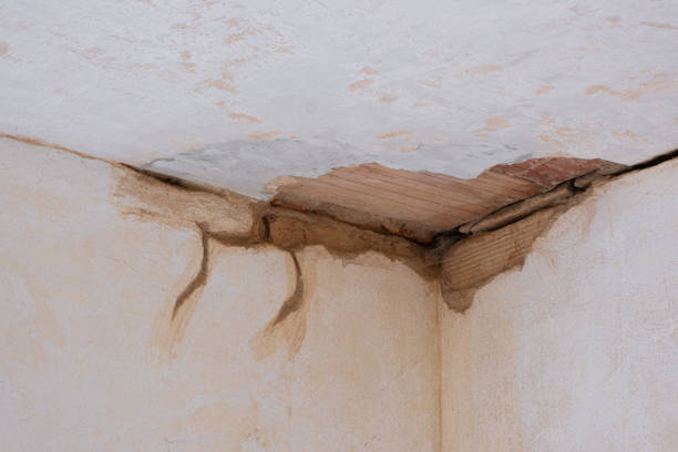 Best Sewage cleanup and water damage restoration  in La Luz, NM