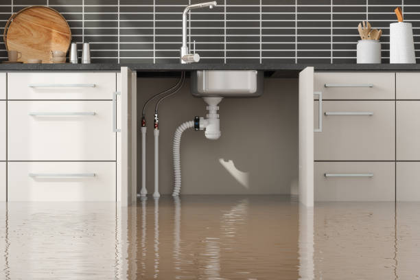Best Water damage contractors near me  in La Luz, NM