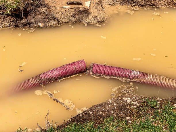 Best Flood restoration services  in La Luz, NM